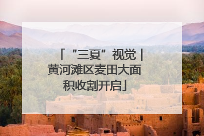 “三夏”视觉｜黄河滩区麦田大面积收割开启
